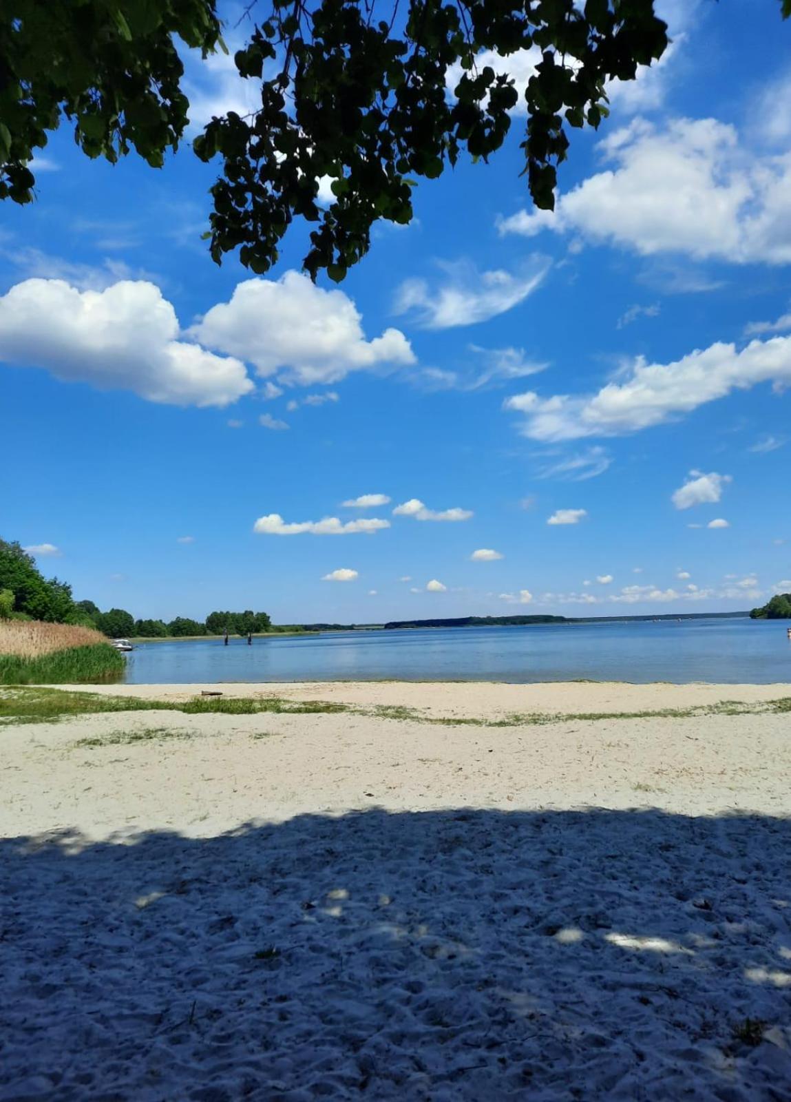 Wald Und Wasser * Malchow (Mecklenburg-Vorpommern)