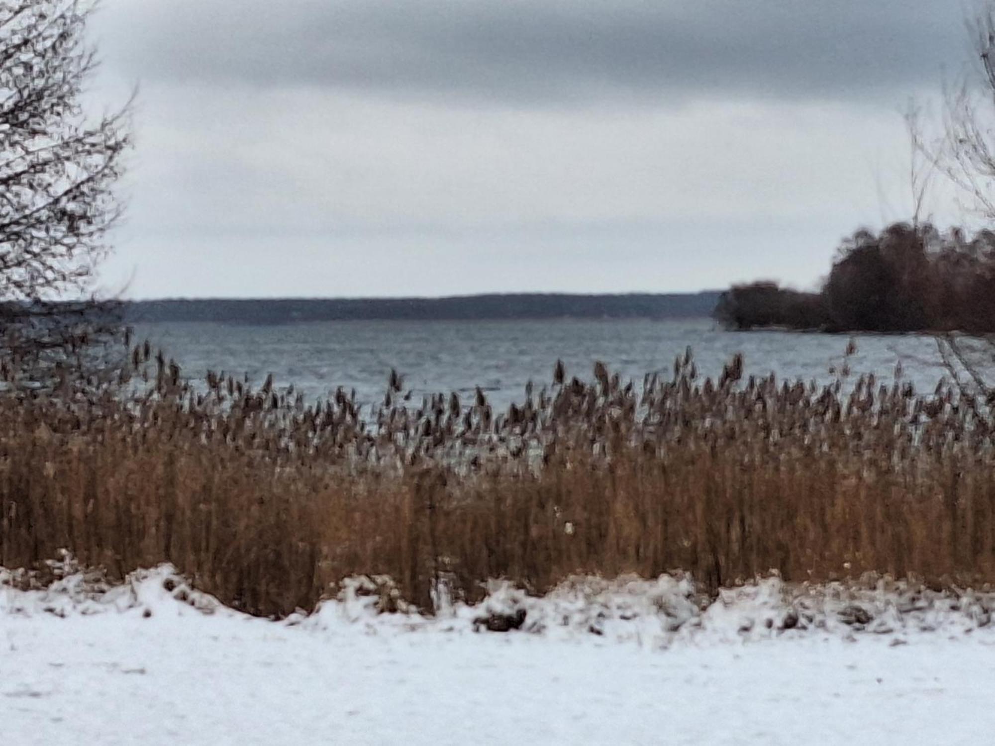 Wald Und Wasser Apartment Malchow (Mecklenburg-Vorpommern)